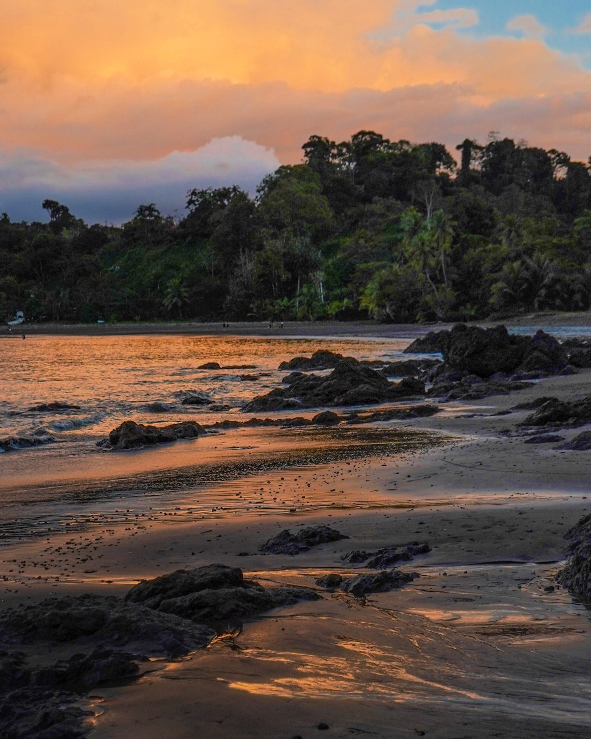 A beach in Costa Rica at sunset